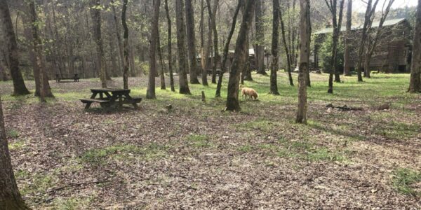Weekday-Camping-image-1.jpg_w=600&zoom=2