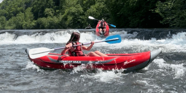 Untitled design - 2025-07-21T115038.999